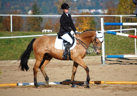 Lenka Součková a Venus 3 - drezúra 3